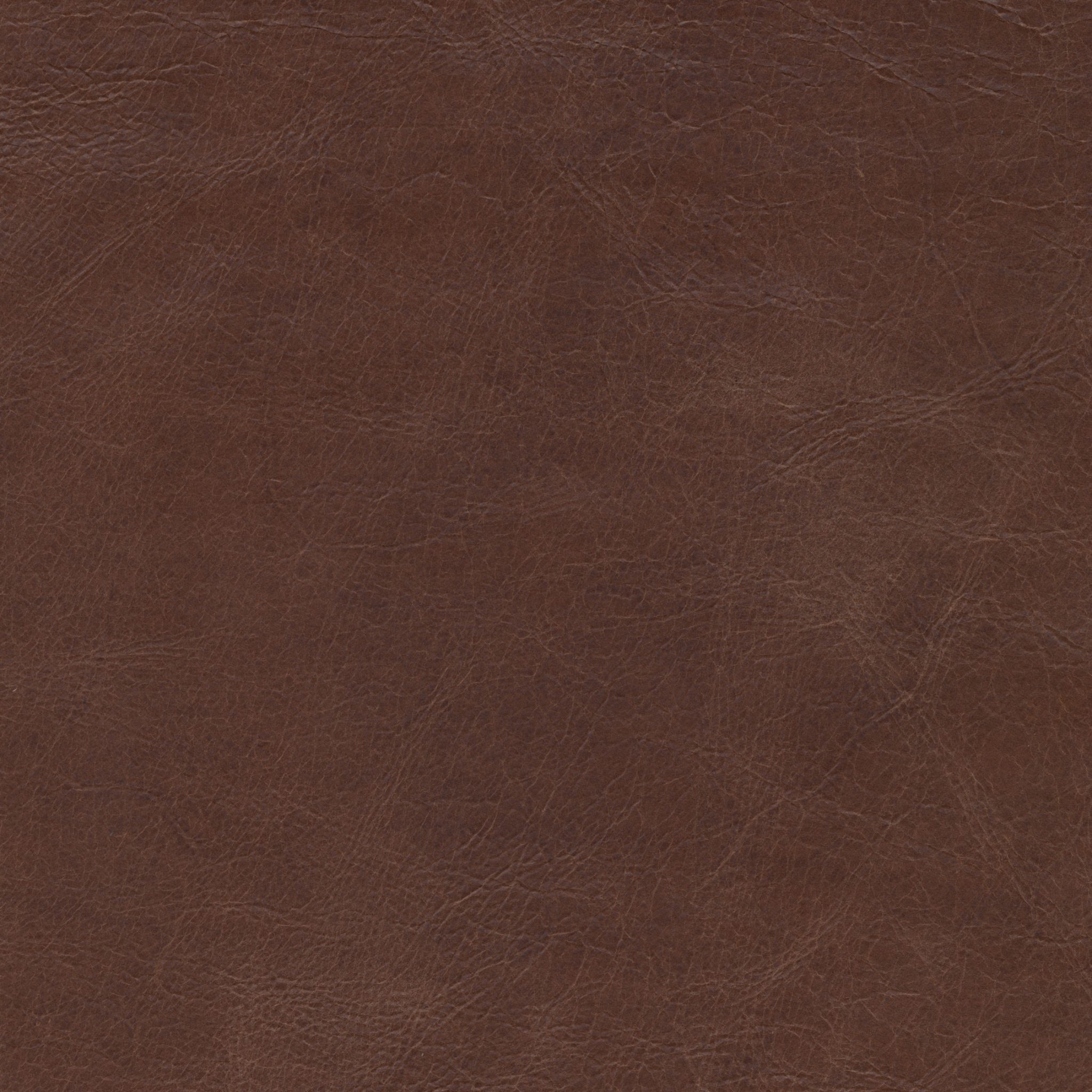 Trends Coffee - Leather Swatch